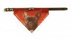Halsband met zakdoekje Franse Bulldog NU 50 % - 1 - Thumbnail