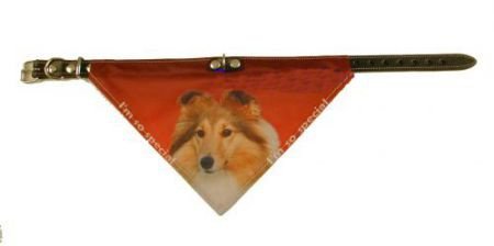 Halsband met zakdoekje Sheltie NU 50 % KORTING - 1