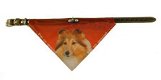 Halsband met zakdoekje Sheltie NU 50 % KORTING - 1 - Thumbnail