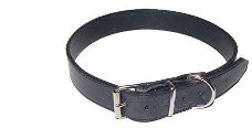 Halsband Black, Nieuw, €5.00