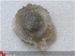 #26 Grillig kleine kristalletjes Chalcedoon - 1 - Thumbnail