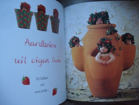 Anne Geddes lieveheers pop en boek wat doe je in mijn hof - 1