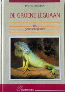 De groene leguaan