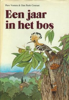 Ventura, Piero; Een jaar in het bos