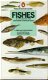 Moller Christensen; Fishes of the British and Northern - 1 - Thumbnail