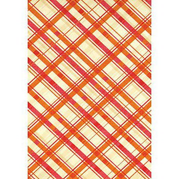 NIEUW scrappapier Hippie Chic NR 14 Plaid van DCWV - 1