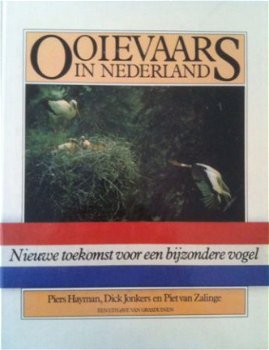 Ooievaars in Nederland, Piers Hayman, - 1
