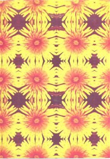 ACHTERGRONDVEL (A5) --- BLOEMEN  --- oranje-geel-donker