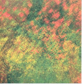 ACHTERGRONDVEL (15x15cm) --- NATUUR / Boomtoppen div.kleuren - 1