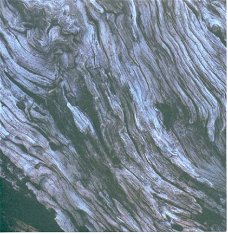 ACHTERGRONDVEL (15x15cm) --- NATUUR / Boomschors -- bl.grijs