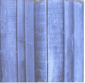 ACHTERGRONDVEL (15x15cm) --- LENTE --- Schutting (Blauw) - 1