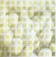 ACHTERGRONDVEL (15x15cm) -- BLOEMEN --- Tulpen achter raster - 1 - Thumbnail