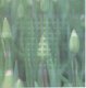 ACHTERGRONDVEL (15x15cm) --- BLOEMEN --- Bloemen in de knop - 1 - Thumbnail