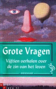 Grote vragen. Vijftien verhalen over de zin van het leven