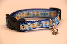 blauwe vlindertjes halsband voor kleine hond .