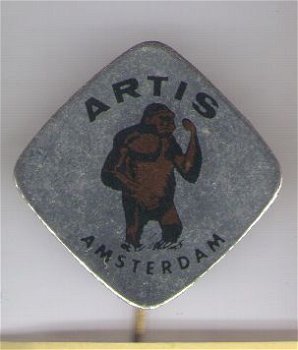 Artis Amsterdam blik speldje ( C_158 ) - 1