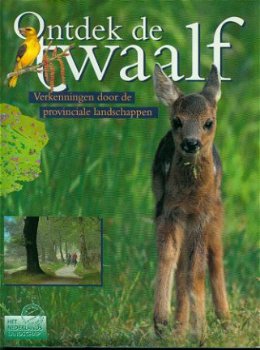 Ontdek de twaalf - 1