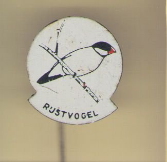 rijstvogel blik speldje ( H_089 ) - 1