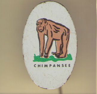 Chimpansee blik speldje ( H_090 ) - 1