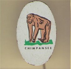 Chimpansee blik speldje ( H_090 )