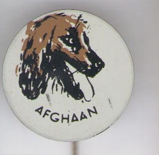 Afghaan blik speldje ( H_112 ) - 1
