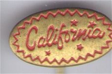 California Soepen speldje ( J_077 )