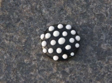 Button bead drukker nummer 56 zwart met stippen handgemaakt. - 1