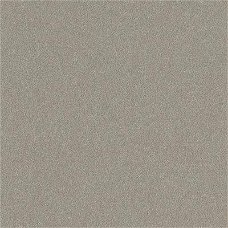 NIEUW Metallic Cardstock Lace & Linen NR 6 Dark Beige DCWV