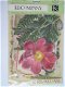 K&Company BW flora&fauna die-cuts cardstock&vellum - 1 - Thumbnail