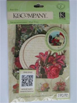K&Company pop-up beyond postmarks botanical - 1