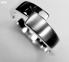 No 1008 Zilveren ring 16 mm