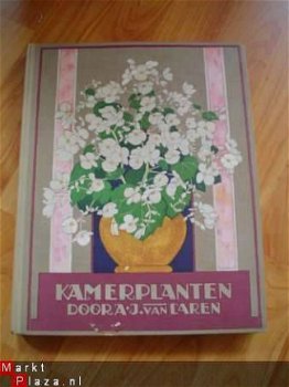 Kamerplanten door A.J. van Laren - 1