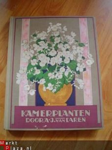 Kamerplanten door A.J. van Laren