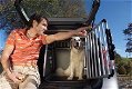 Bench (Auto) Dog-Box uit Zwitserland voor Twee Honden - 5 - Thumbnail