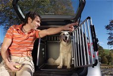 Dog-Box (Auto)Bench Voor Uw Hond  Gratis Verzending