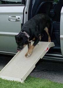Hondenloopplank voor de Zijdeur van uw Auto - 0