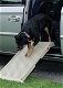 Hondenloopplank voor de Zijdeur van uw Auto - 0 - Thumbnail