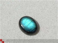 Cabochon#88  blauw Spectroliet 8*10*3mm