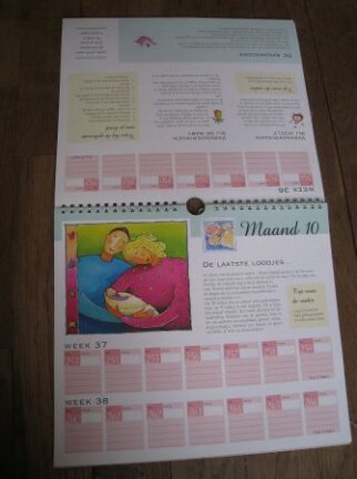 Je zwangerschap week na week kalender - Afbeelding 3