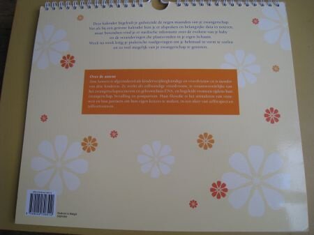 Je zwangerschap week na week kalender - Afbeelding 4