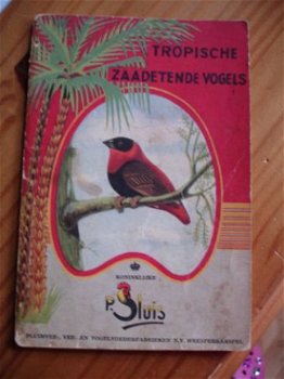 Oud plaatjesboek van vogels - 1