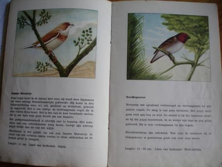 Oud plaatjesboek van vogels - 1