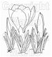 DIGI Marbo bloemen 005 krokussen - 1 - Thumbnail