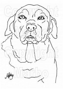 DIGI Marbo Dieren 001 Hond Labrador - 1