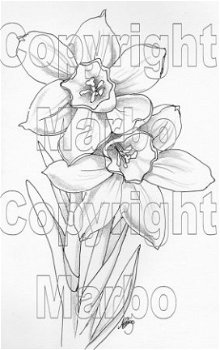 DIGI Marbo bloemen 008 narcissen - 1