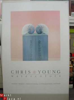 Poster Chris Young watercolors Blue Nautilus 1988 - 1