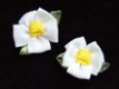 Mooie bloem van grosgrain lint ~ Wit - 1 - Thumbnail