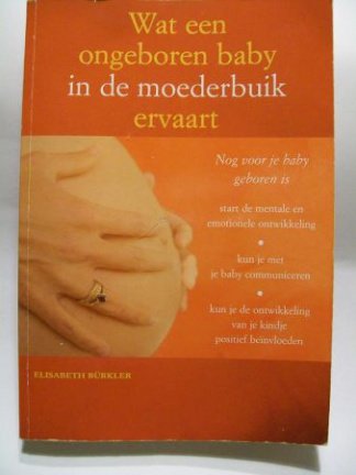 Wat Een Ongeboren Baby In De Moederbuik Ervaart E.Burkler