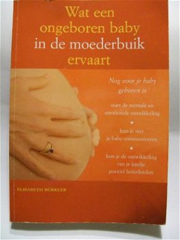 Wat een ongeboren baby in de moederbuik ervaart E.Burkler - 1