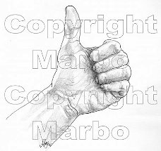 Marbo digi Diversen 001 Thumbs up / Prima